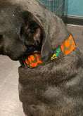 Load image into Gallery viewer, Major Collars
